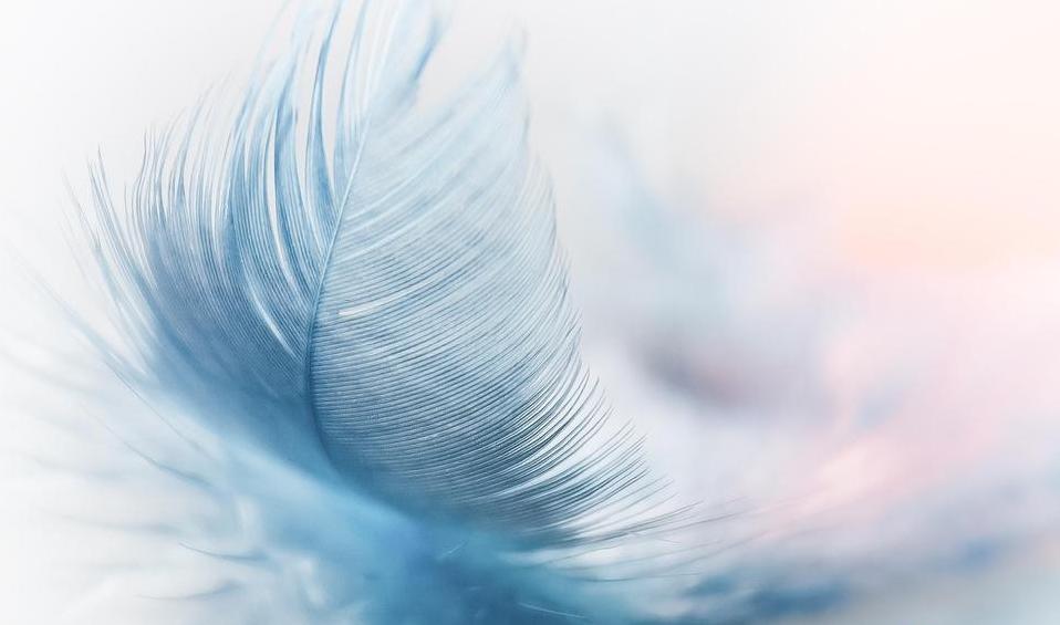 Plume bleu pastel